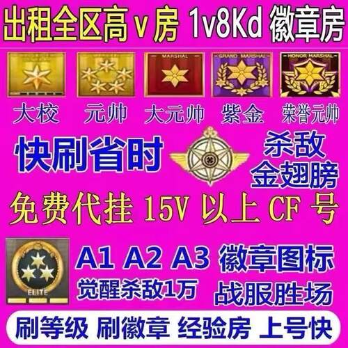 cf代练穿越火线端游经验等级代打排位荣誉元帅经验租房快刷安全分