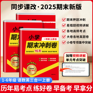 2025版小学期末冲刺卷语数英三合一一二三四五六年级上册语文数学英语人教版期末复习试卷大小卷练习册高频考点真题押题预测检测卷