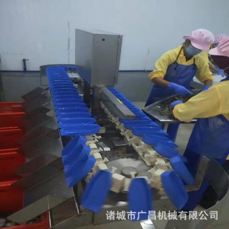 鸡爪自动分级机 转盘式鸡翅琵琶腿重量分选机 分大小机器厂家