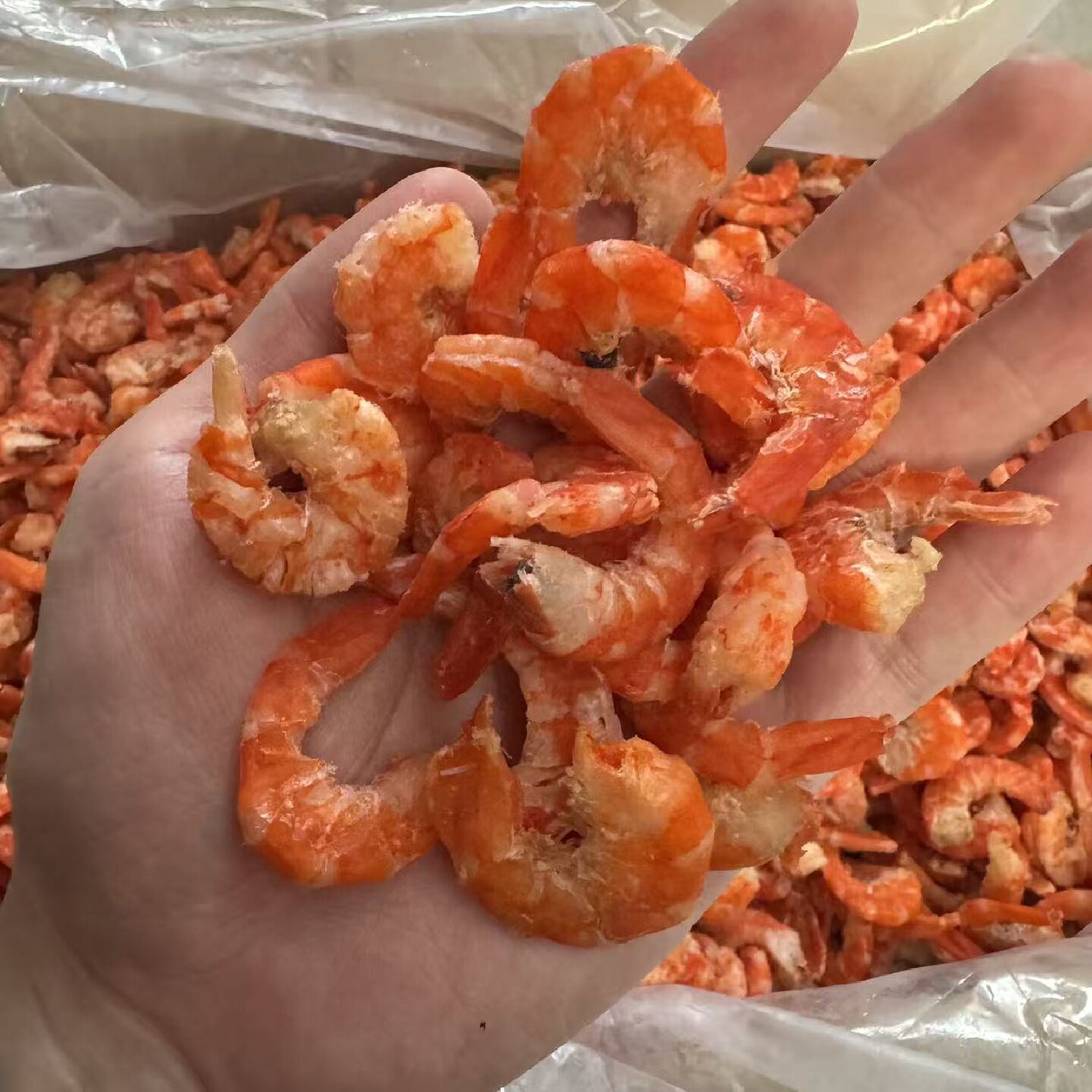 广东汕尾大虾米虾仁干干货商用淡干鲜甜无盐新鲜特大虾干纯虾肉0