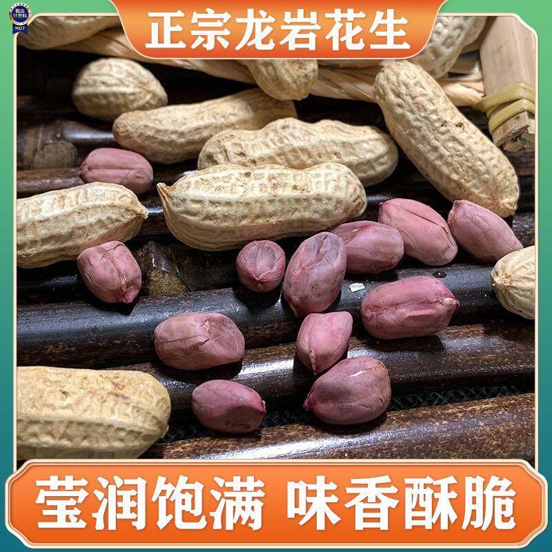 $龙岩花生湿烤花生正宗闽西特产水煮花生紫衣花生三四粒红衣皮花