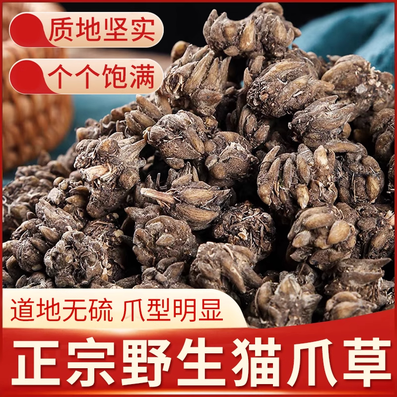 猫爪草中药材无硫特级猫爪草中药材500克原料批发中药材猫爪草