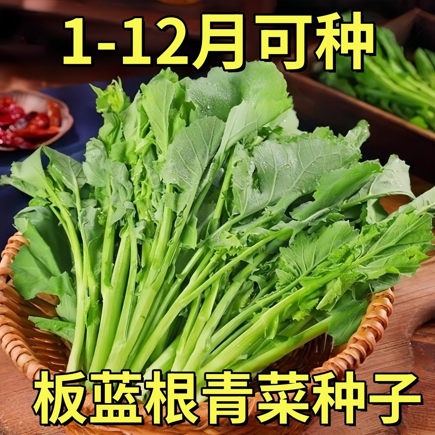 板蓝根青菜种子食用特色野菜材种籽四季蔬菜孑阳台盆栽春季,鲜花速递/花卉仿真/绿植园艺,种苗/半成品盆栽,淘宝优惠券,粉丝福利购,淘宝优惠卷