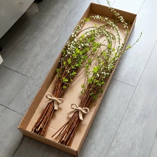 雪柳鲜切鲜枝干枝带花芽发货水培鲜花室内植物水养开花卉插花盆栽