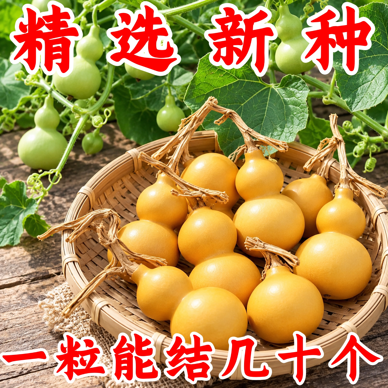 手捻小葫芦种子四季阳台爬藤