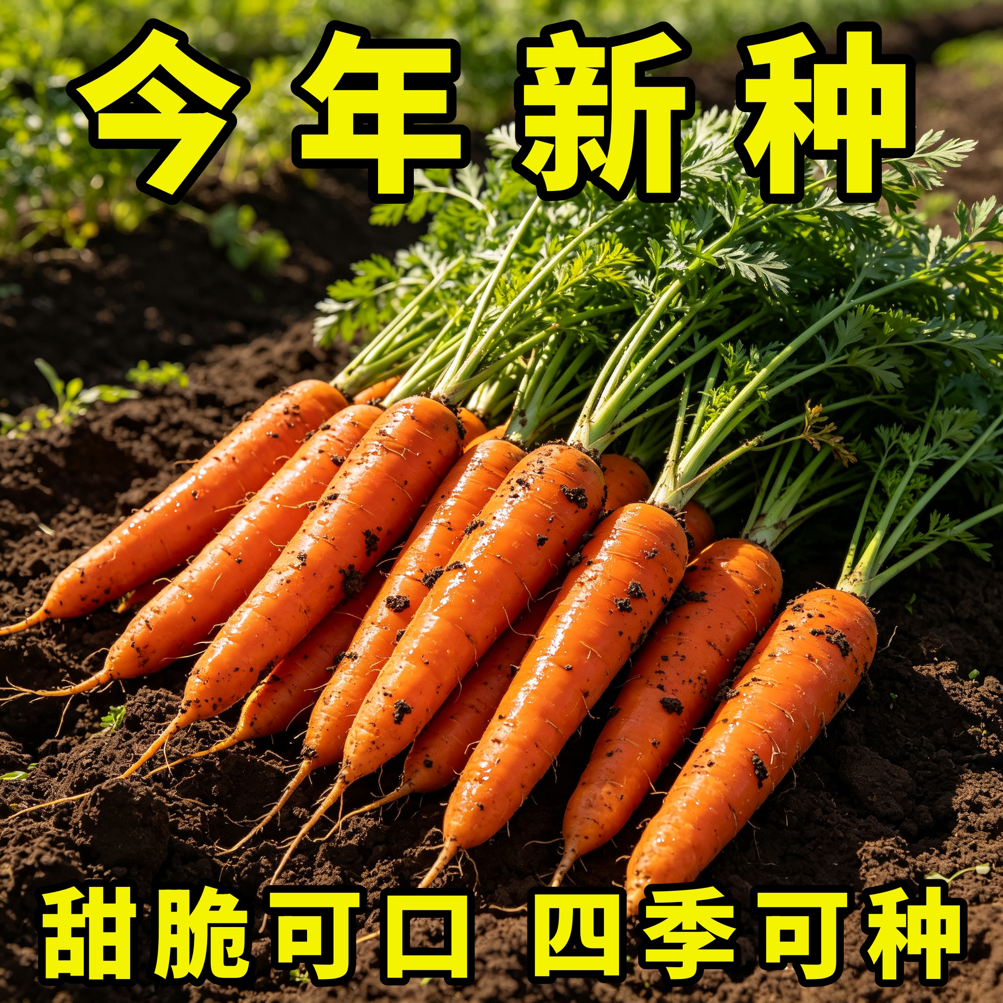 九寸三红胡萝卜种子脆甜夏秋播