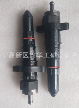 供应K19 PT发动机喷油器喷油嘴总成 3068859 3076130