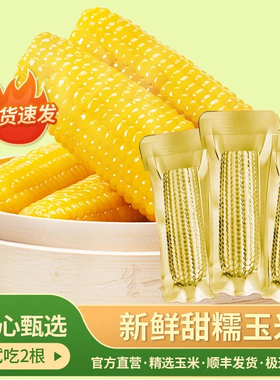东北大苞米黄糯玉米棒250g大棒真空铝箔包装新粗粮代餐糯香甜