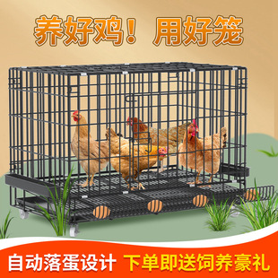 鸡笼子大号特大养殖笼自动清粪鸡舍家用家庭鸡笼多层鸡笼鸭笼狗笼