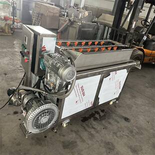 自动翻筐式气泡洗菜机净菜加工商用多功能清洗机牛羊猪肉小型清洗