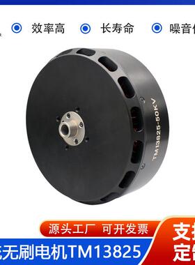 13825-50V50G载重无人机电机、高效率、耐腐蚀