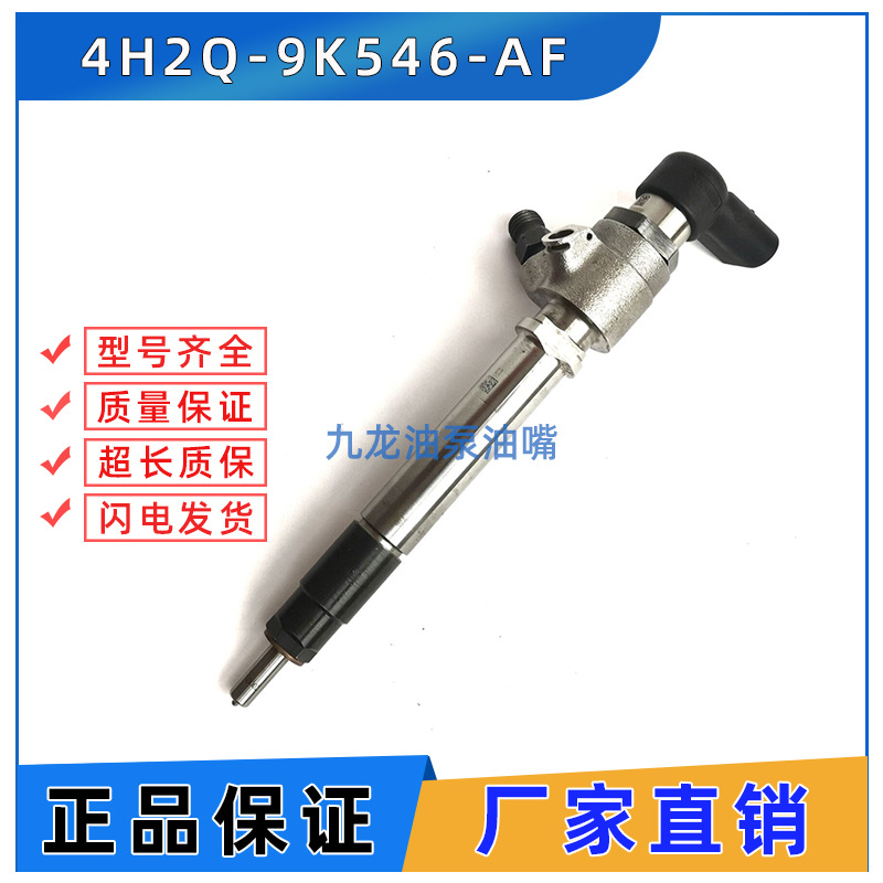 A2C59511364喷油器  5WS40249  4H2Q-9K546-AF LR006495