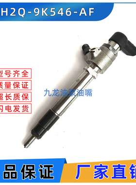 A2C59511364喷油器  5WS40249  4H2Q-9K546-AF LR006495