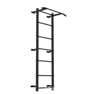 东际健身肋排架靠墙攀爬架云梯CF训练架室内肋木架TRXD架引体向上
