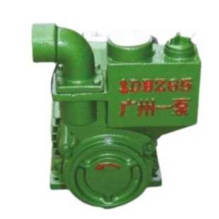 广州广一博思普1DBZ35 65自吸清水泵家用增压泵220V自吸漩涡泵