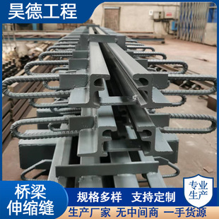 伸缩装 C40 D80型异型钢毛勒缝模数式 置 F60 桥梁伸缩缝GQF