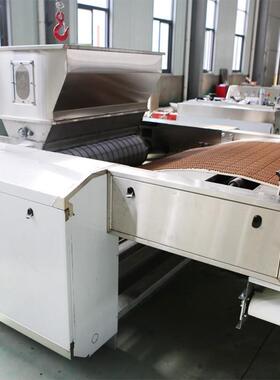 HVI烘鲜肉物粮挤压宠机 高蛋白狗粮加工设备 低温焙猫生粮产线