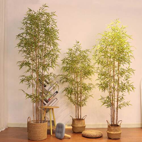竹子大型竹仿植物竹装子盆栽室内落地饰富贵真盆景人造假绿植造景
