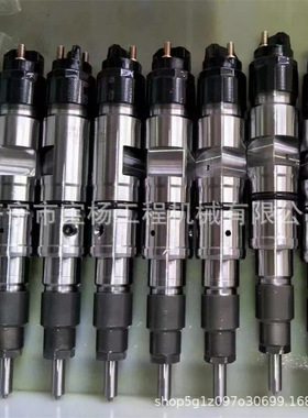 0445120160高压共轨喷油器0445120161 0445120163发动机喷油嘴