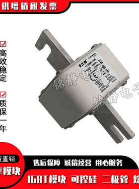 170M6307 170M6203 170M6204 170M6205 170M6206熔断器170M6207