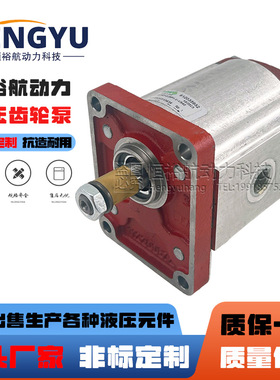 萨拉米油泵SALAMI齿轮泵2PE26D-P28P1-V-VS40 2PE6.5D-P28液压泵