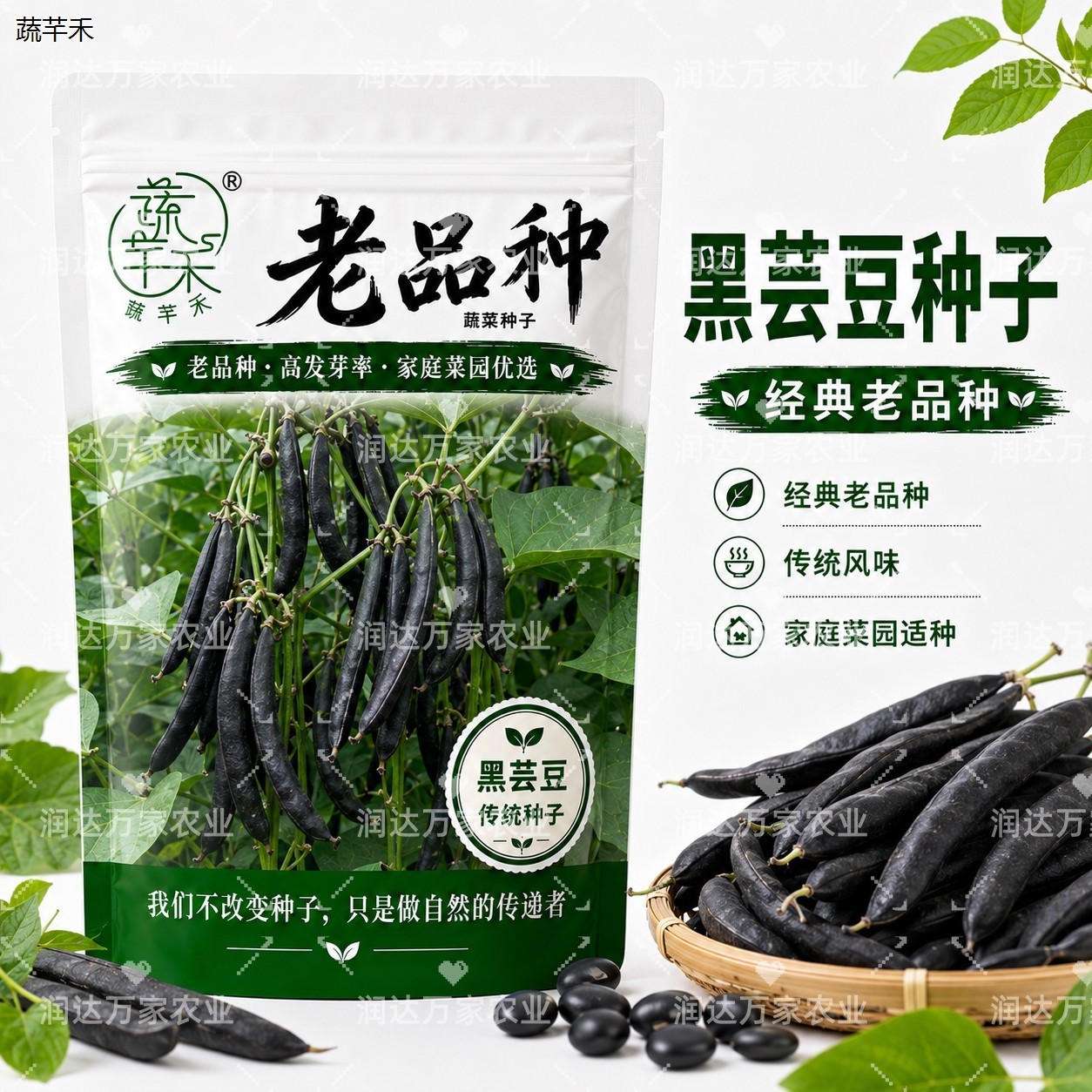 豆老非转基芸种易鲜种黑图片