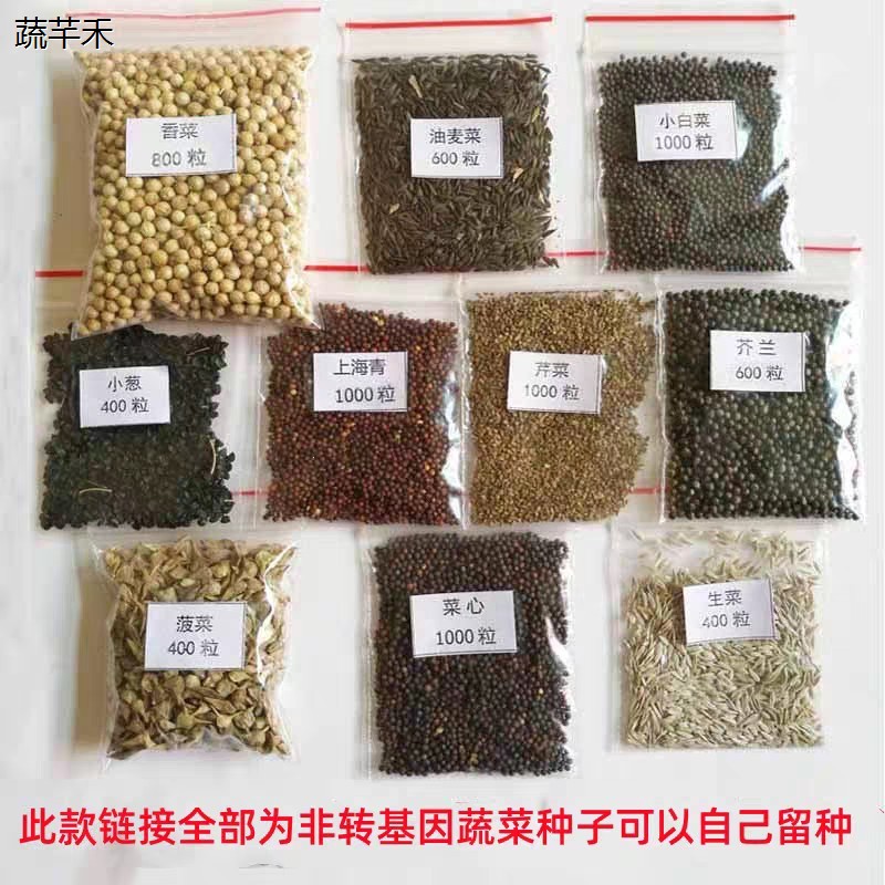 农家可留种老品种蔬菜种图片