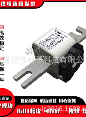 170M4614 170M4615 170M4616 170M4617 170M4618熔断器170M4619