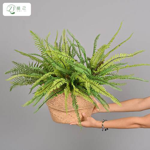 装仿真蕨类植物花造景装饰小绿zj523698居植家橱窗饰把束蕨叶插软