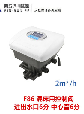 润新2吨混床用控制阀15702 F86 进出水口6分 布水器6分