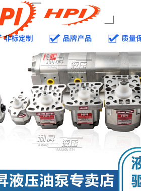 JTEKT HPI齿轮泵P3BAN3025HL10B03N P1AAN1003CL10B01N液压油泵