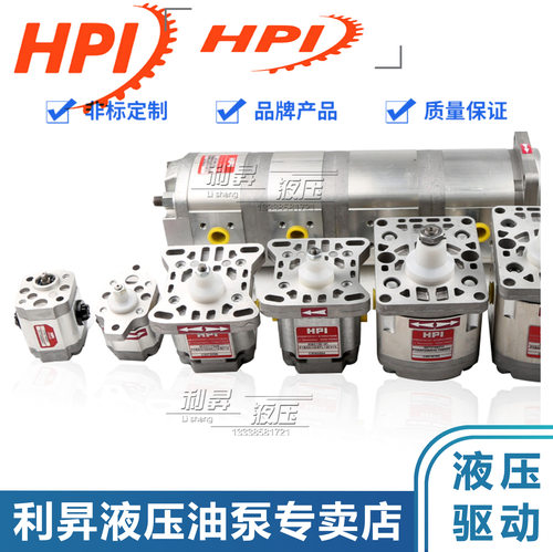 JTEKT HPI齿轮泵P3BAN3025HL10B03N P1AAN1003CL10B01N液压油泵