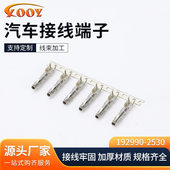 192990 接插件1929902530插 国产替代件 2530 汽车线束连接器插针