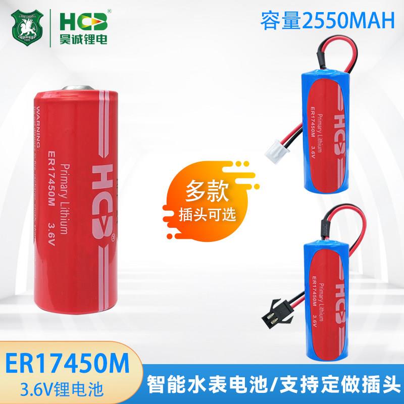 HCB昊诚ER17450M家用IC卡预付费水表流量计记忆仪器3.6V锂电池