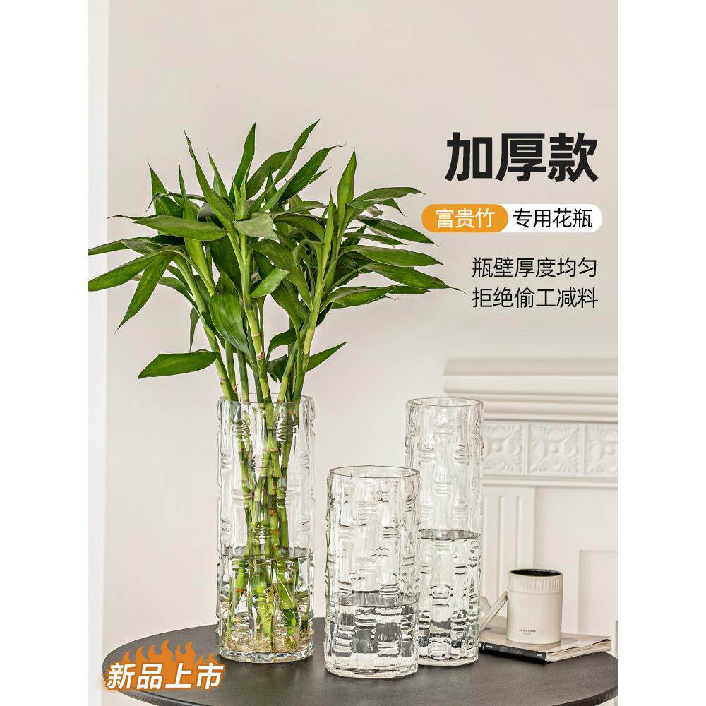 花瓶富贵竹专用玻璃插花摆件客厅水培落地竹子龙竹大号转运竹直筒