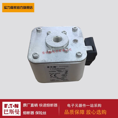 熔断器170M6463 170M6464 170M6465 170M6466 170M6467 170M6468