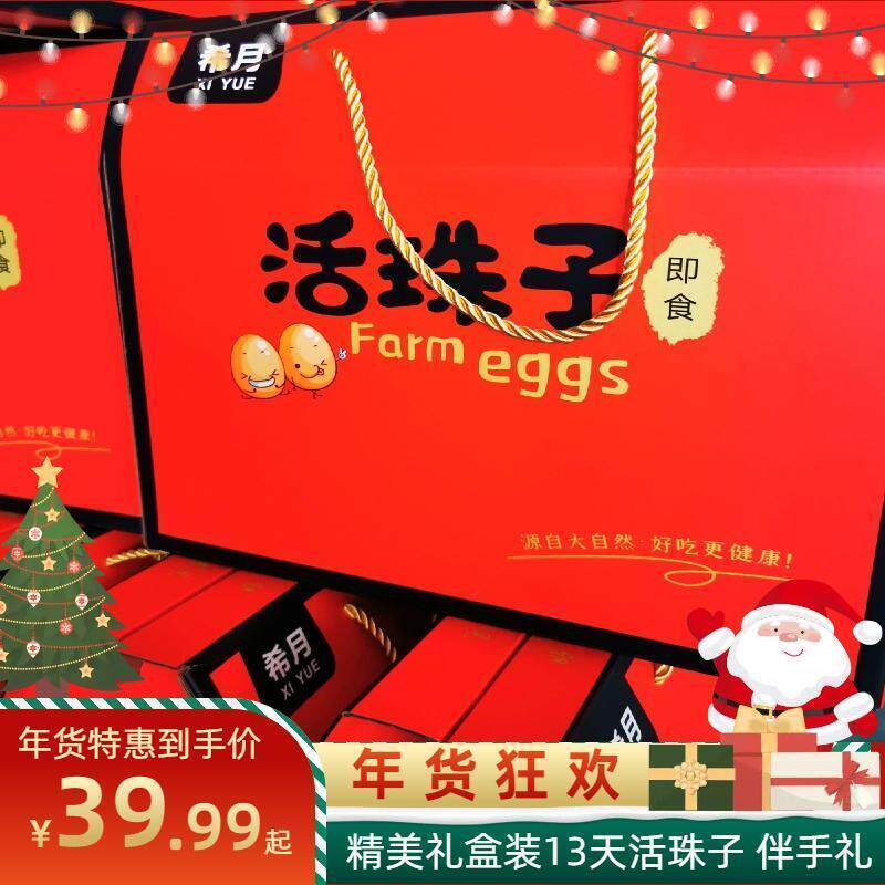 新货礼盒活珠子13天新鲜龙