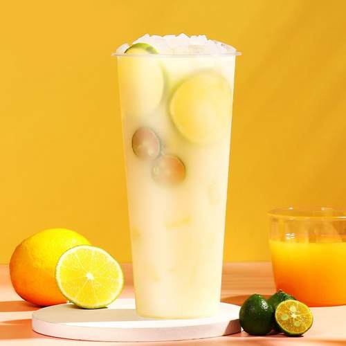 正宗铭诺浓缩发酵乳酸菌饮