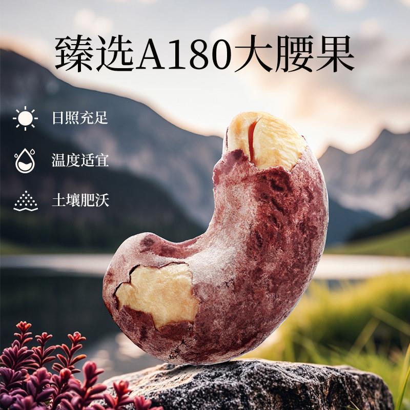 热卖越南A180大腰果仁带皮