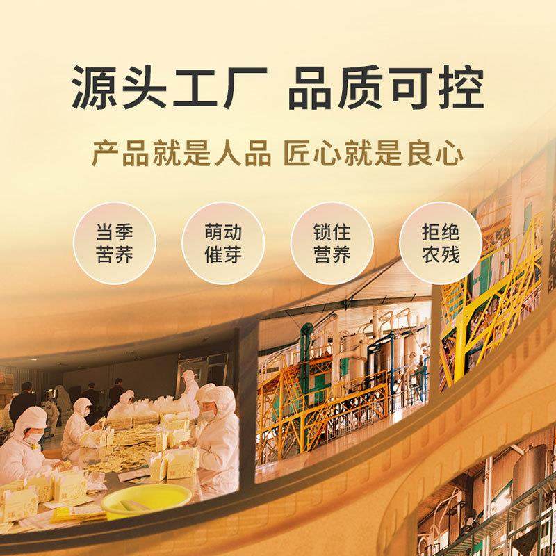 正宗富硒黑苦荞茶480g麦香型山西特产左云苦荞大麦茶节日