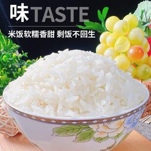 正宗东北五常大米10斤颗粒饱满寒地粳米礼盒装1kg*5