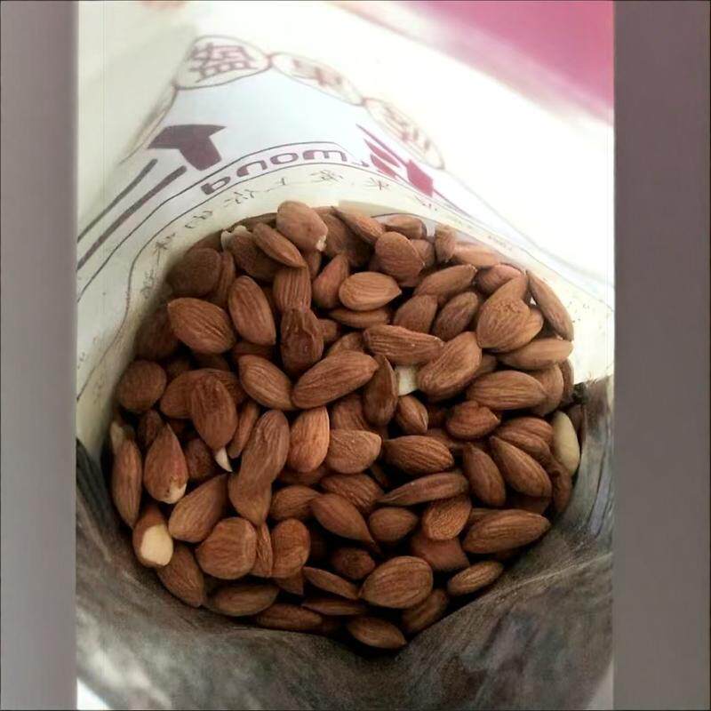 新货涌远熟杏仁仲晓土产蔚