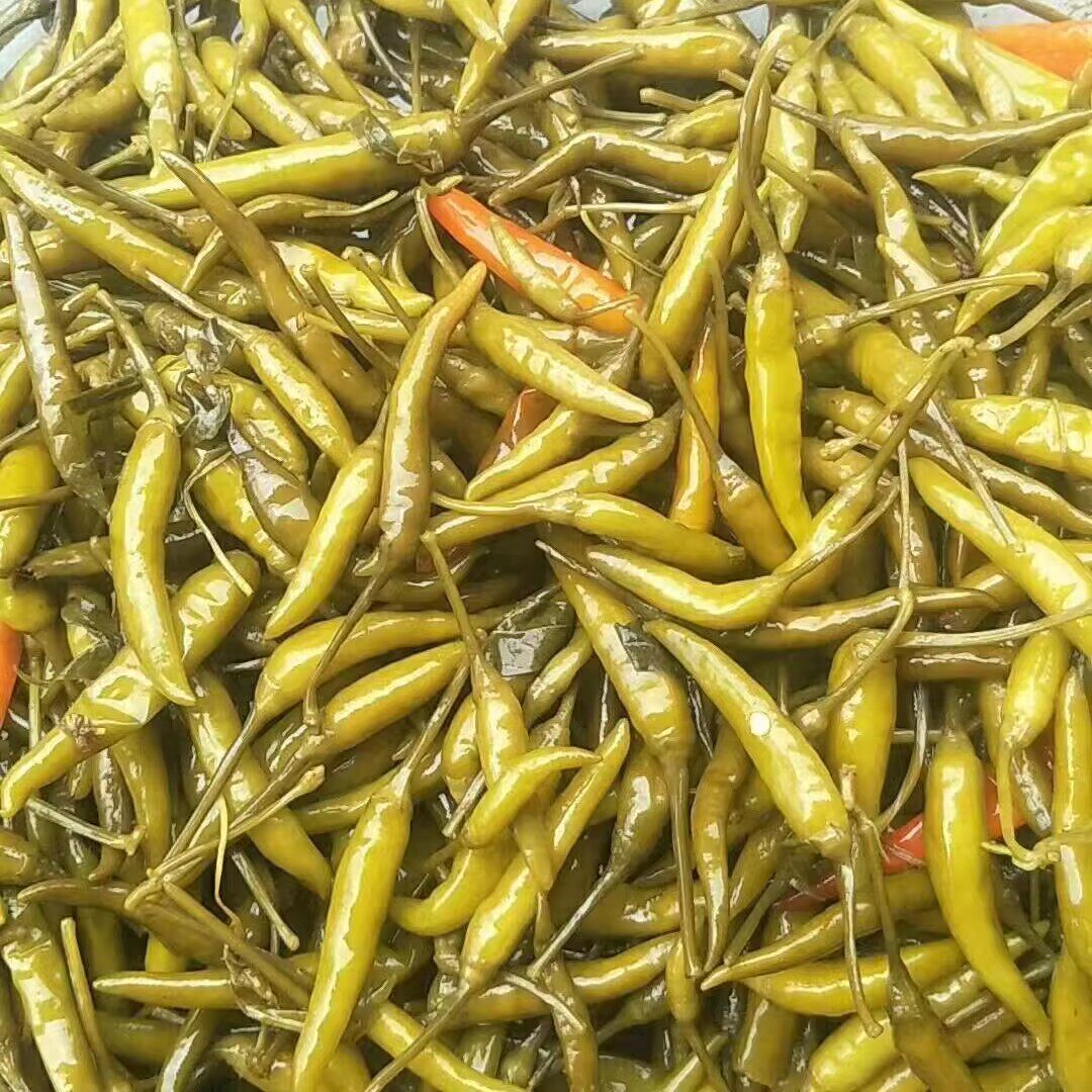 腌制小米椒咸菜下饭菜青小米椒尖图片