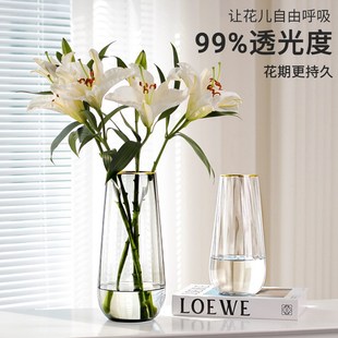 透明玻璃花瓶摆件客厅水养插花轻奢高级感水培玫瑰鲜花小众设计感