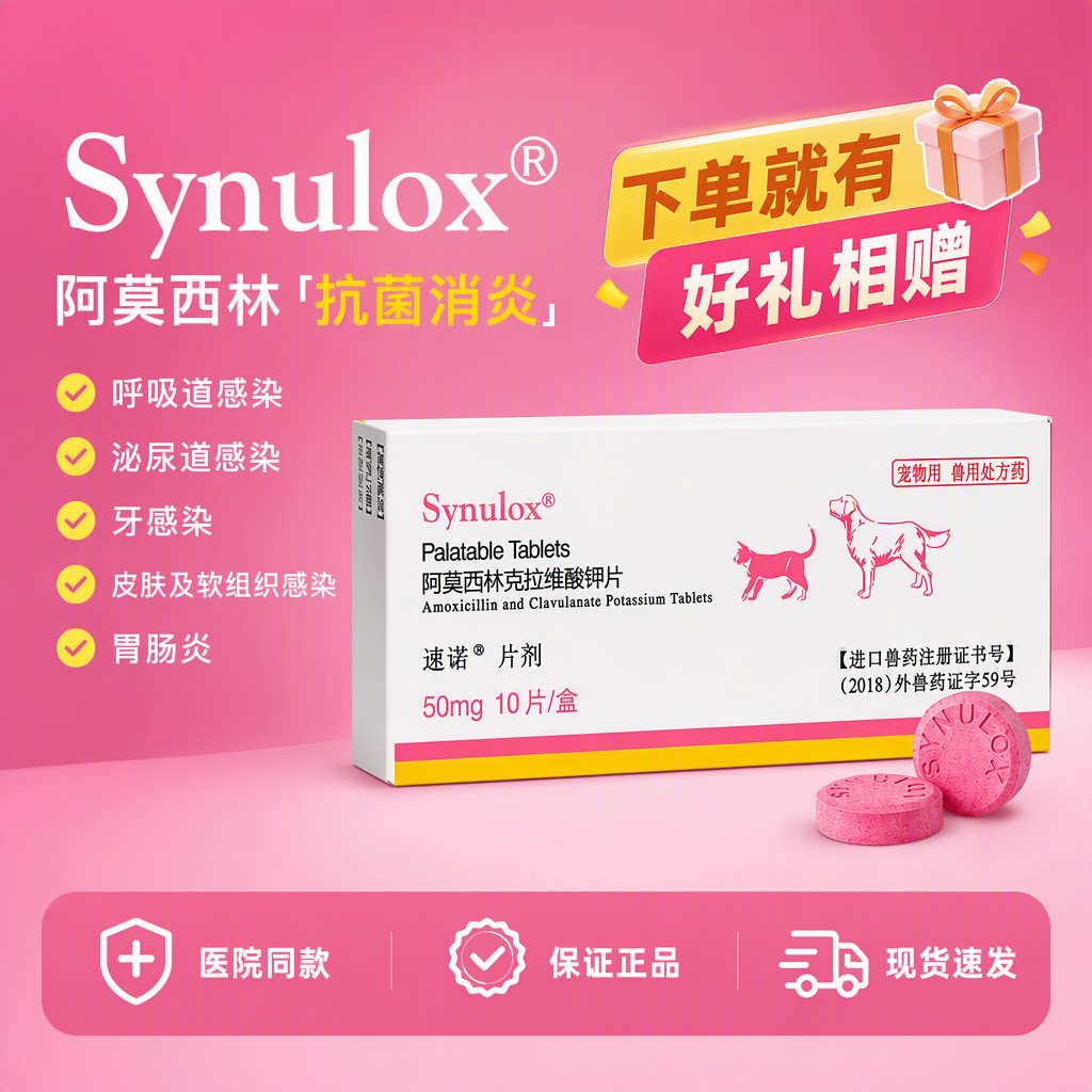 速诺阿莫西林克拉维酸钾片剂宠物消炎药肠胃炎皮肤感染犬猫抗炎