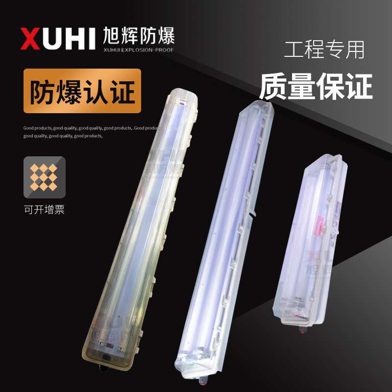 现货BPY防爆防腐全塑荧光灯20W 40W 60W双管防爆LED灯可加应急