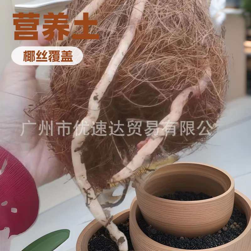 兰花专用培植土椰棕丝园艺花卉植物绿植土壤土遮盖椰纤维花盆铺面