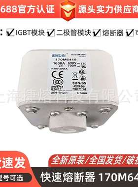 170M6419 170M6420  快速熔断器  保险丝 电子元器件 量大价优