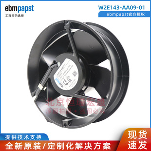 6058ES W2E143 轴流风机 230V AA09 德国ebmpapst 172