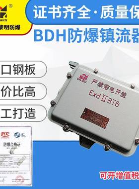BDH(BJX)防爆镇流器接线箱 装金卤灯镇流器 国标上海新黎明 小号